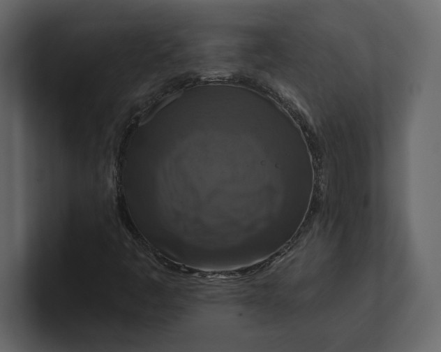 X0000100921445200807151212