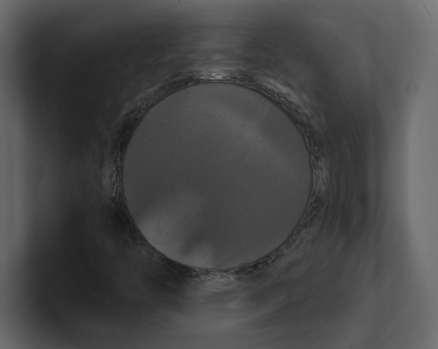 X0000100921446200807151211