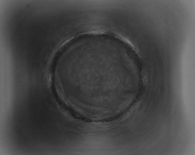 X0000100921448200807151211