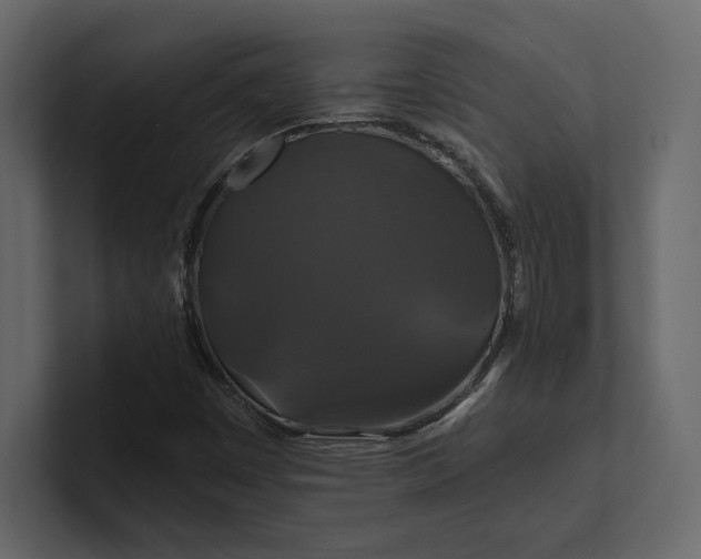 X0000100921449200807151211