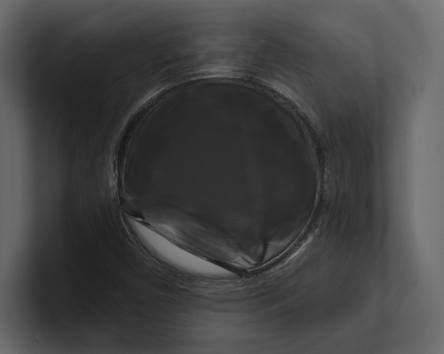 X0000100921450200807151211