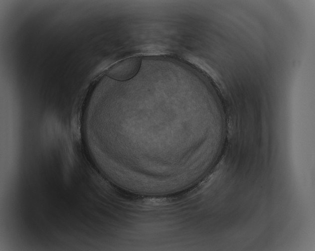 X0000100921451200807151211