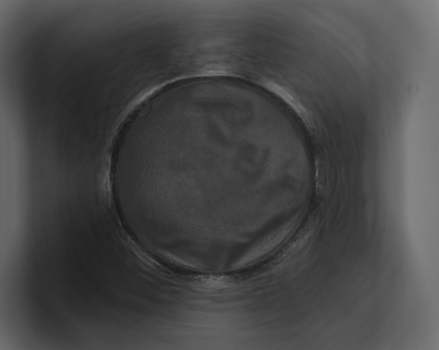 X0000100921452200807151211