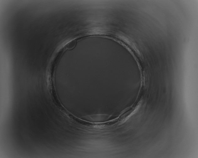 X0000100921453200807151211