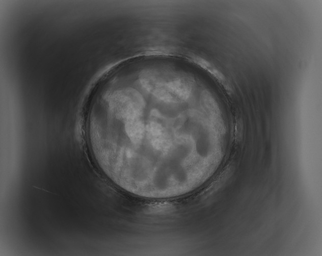 X0000100921454200807151211