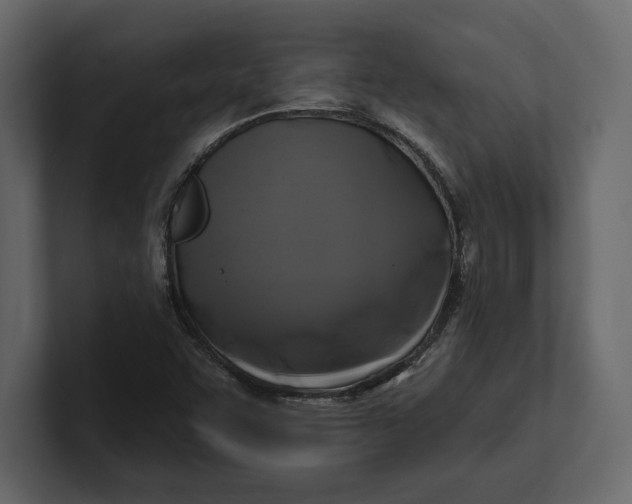 X0000100921455200807151211