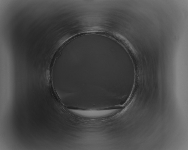 X0000100921457200807151211