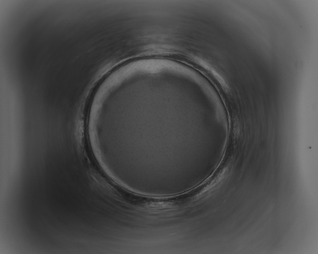 X0000100921459200807151211