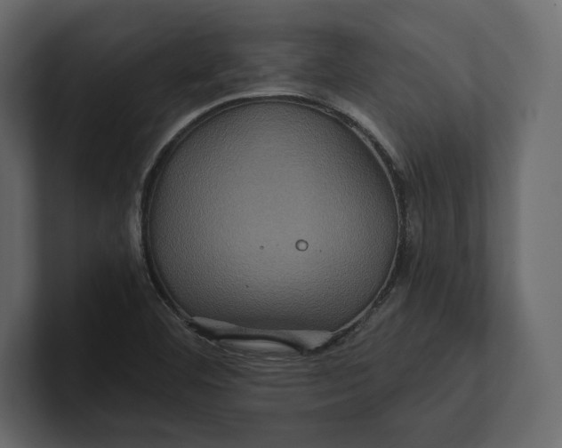 X0000100921460200807151211