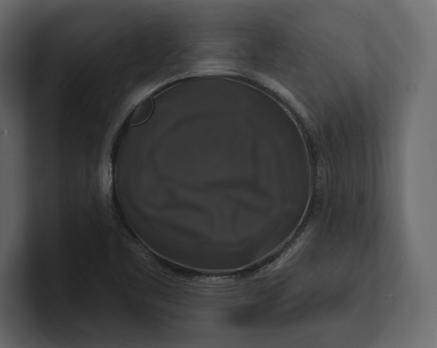 X0000100921461200807151211