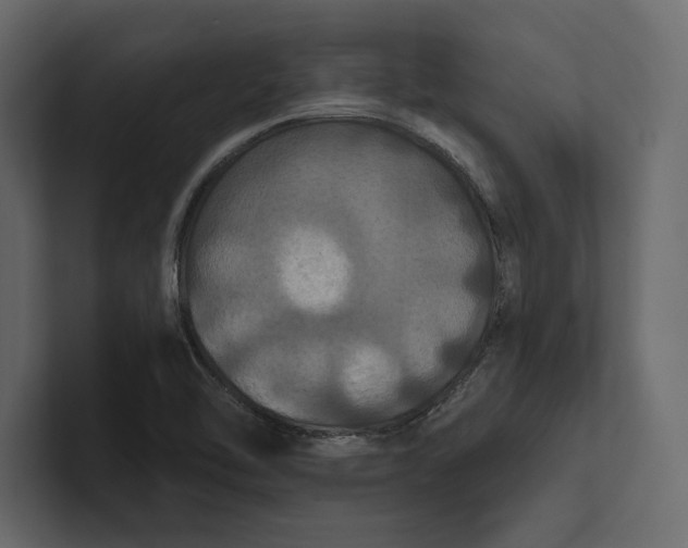 X0000100921462200807151211