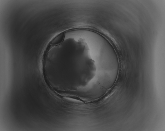 X0000100921463200807151211