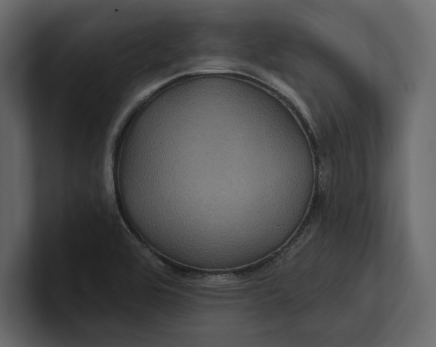 X0000100921464200807151211