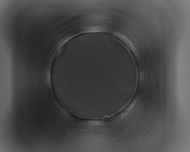 X0000100921465200807151211