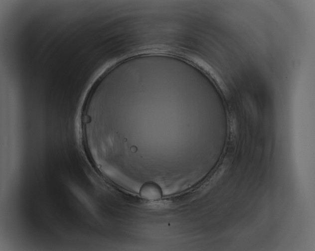 X0000100921466200807151211