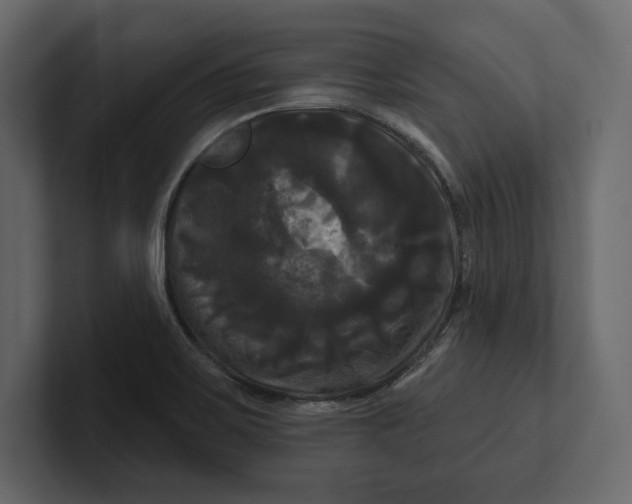 X0000100921467200807151211