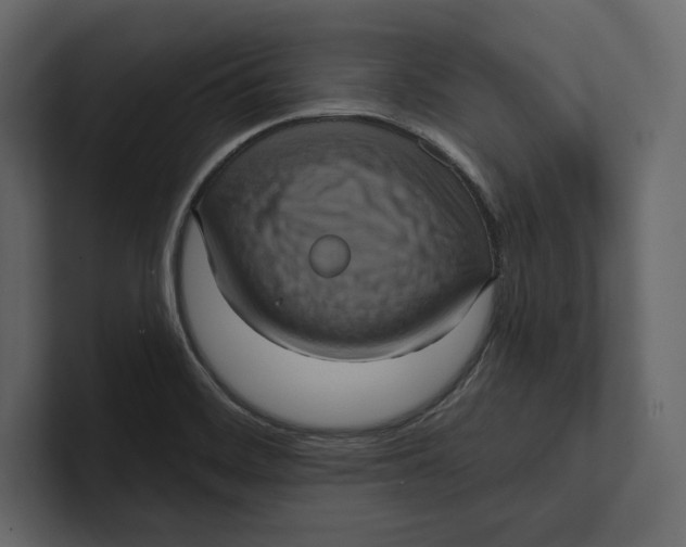 X0000100921468200807151211