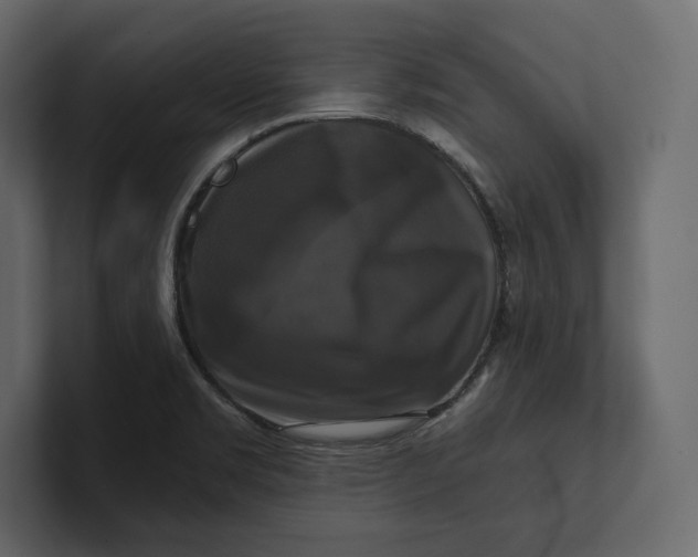 X0000100921469200807151211