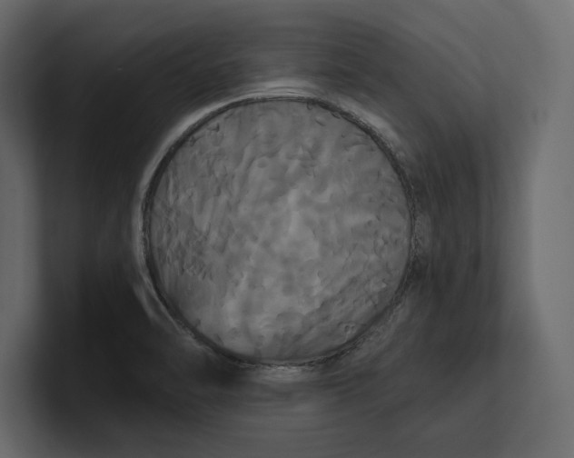 X0000100921470200807151211