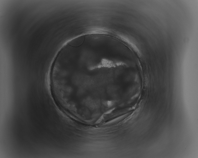 X0000100921471200807151211