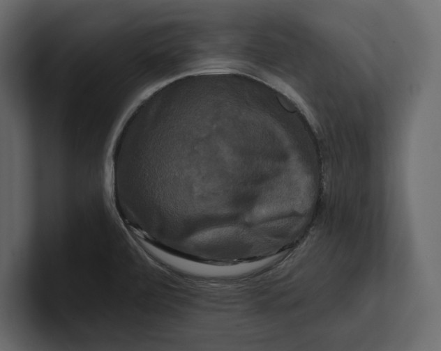 X0000100921472200807151211