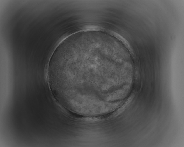 X0000100921473200807151211