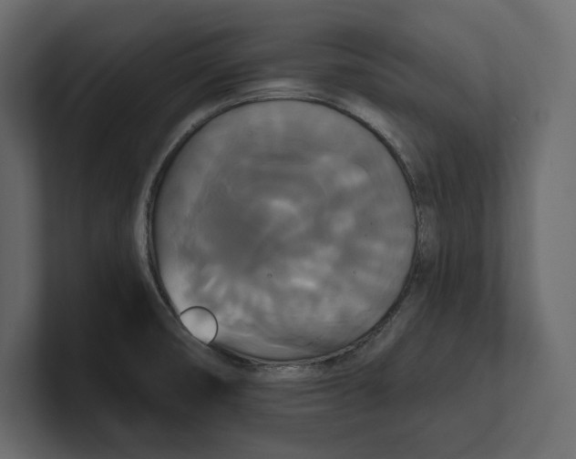 X0000100921474200807151211