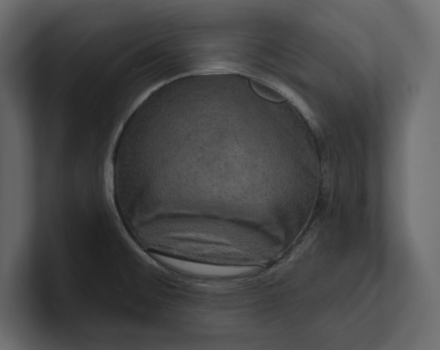 X0000100921476200807151211