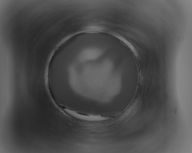 X0000100921477200807151211