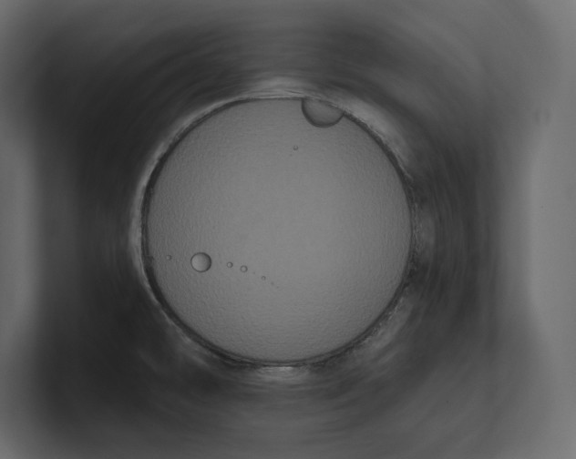 X0000100921478200807151211