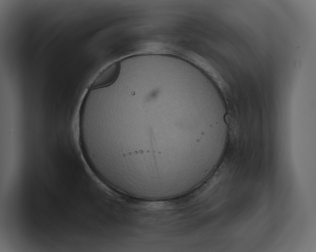 X0000100921479200807151211