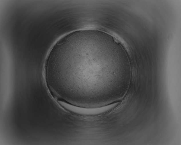 X0000100921480200807151211