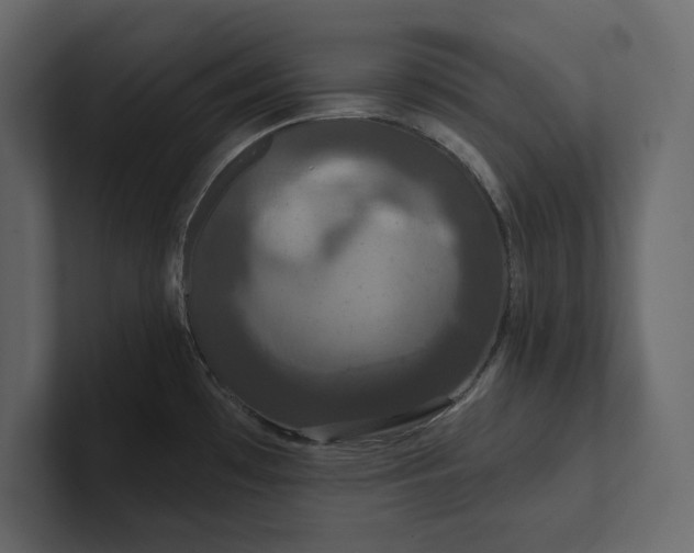 X0000100921481200807151211