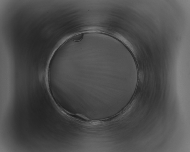 X0000100921482200807151211