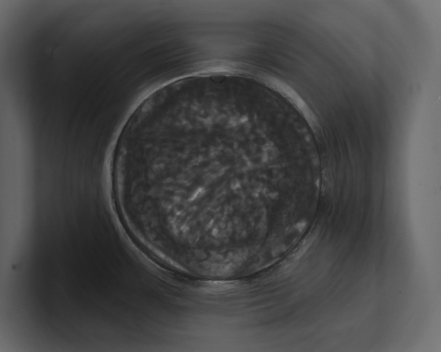 X0000100921483200807151211