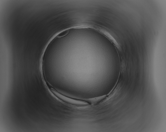 X0000100921484200807151211