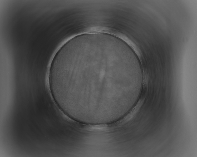 X0000100921486200807151211