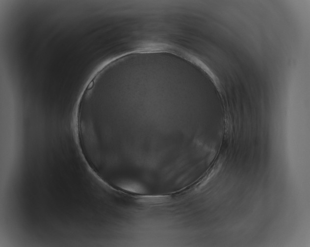 X0000100921487200807151211