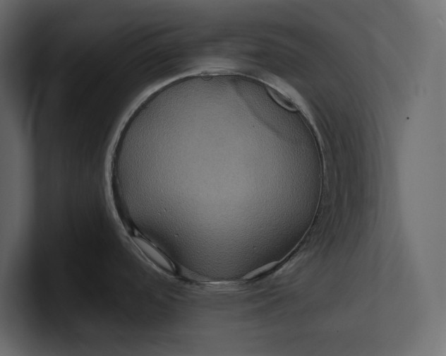 X0000100921488200807151211