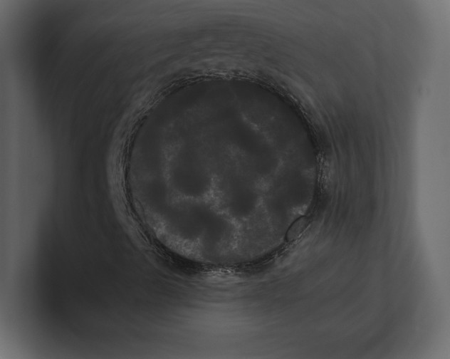 X0000100921489200807151210