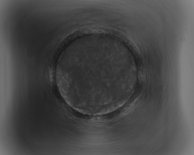 X0000100921490200807151210