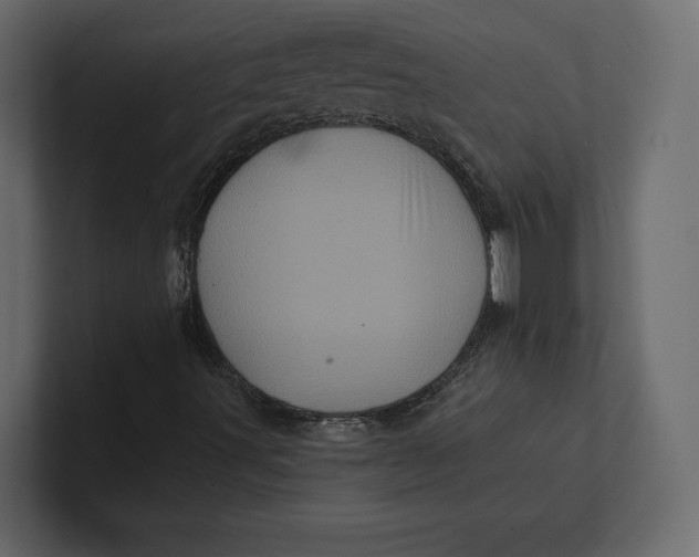 X0000100921491200807151210