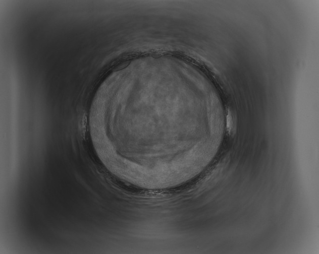 X0000100921492200807151210