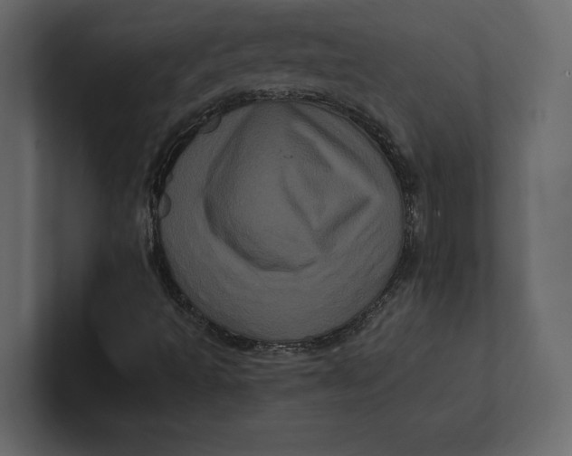 X0000100921493200807151210