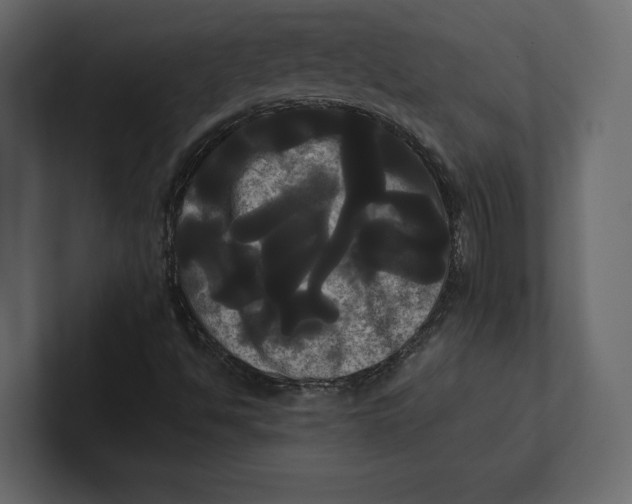 X0000100921494200807151210