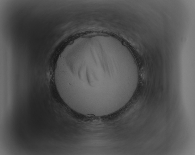 X0000100921495200807151210