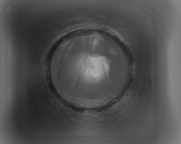 X0000100921496200807151210