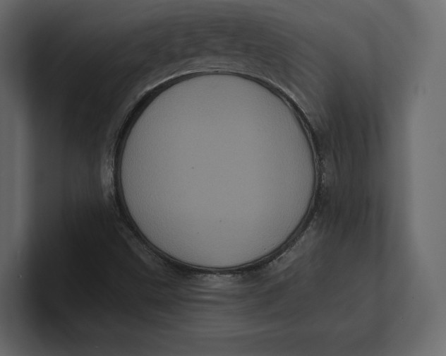 X0000100921499200807151210