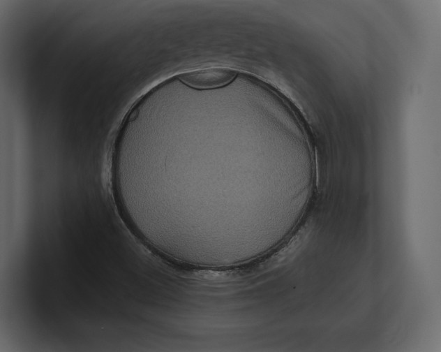 X0000100921500200807151210