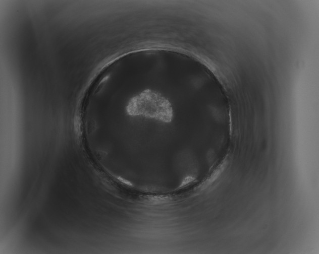 X0000100921501200807151210